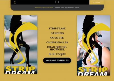 Création site internet - SVrai Création - stripdream.fr